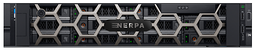 Сервер Nerpa DE LR 55 (2U)