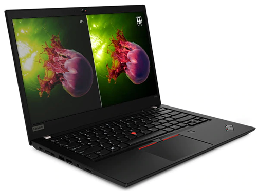 Ноутбук Lenovo ThinkPad T490 (14")
