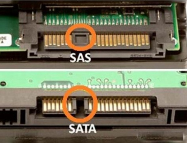 Рис. 1. Различия в разъёмах на стороне накопителя между SAS и SATA