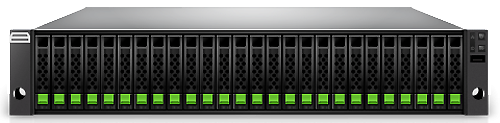 Система хранения ReShield Terra NX2026 (2U)