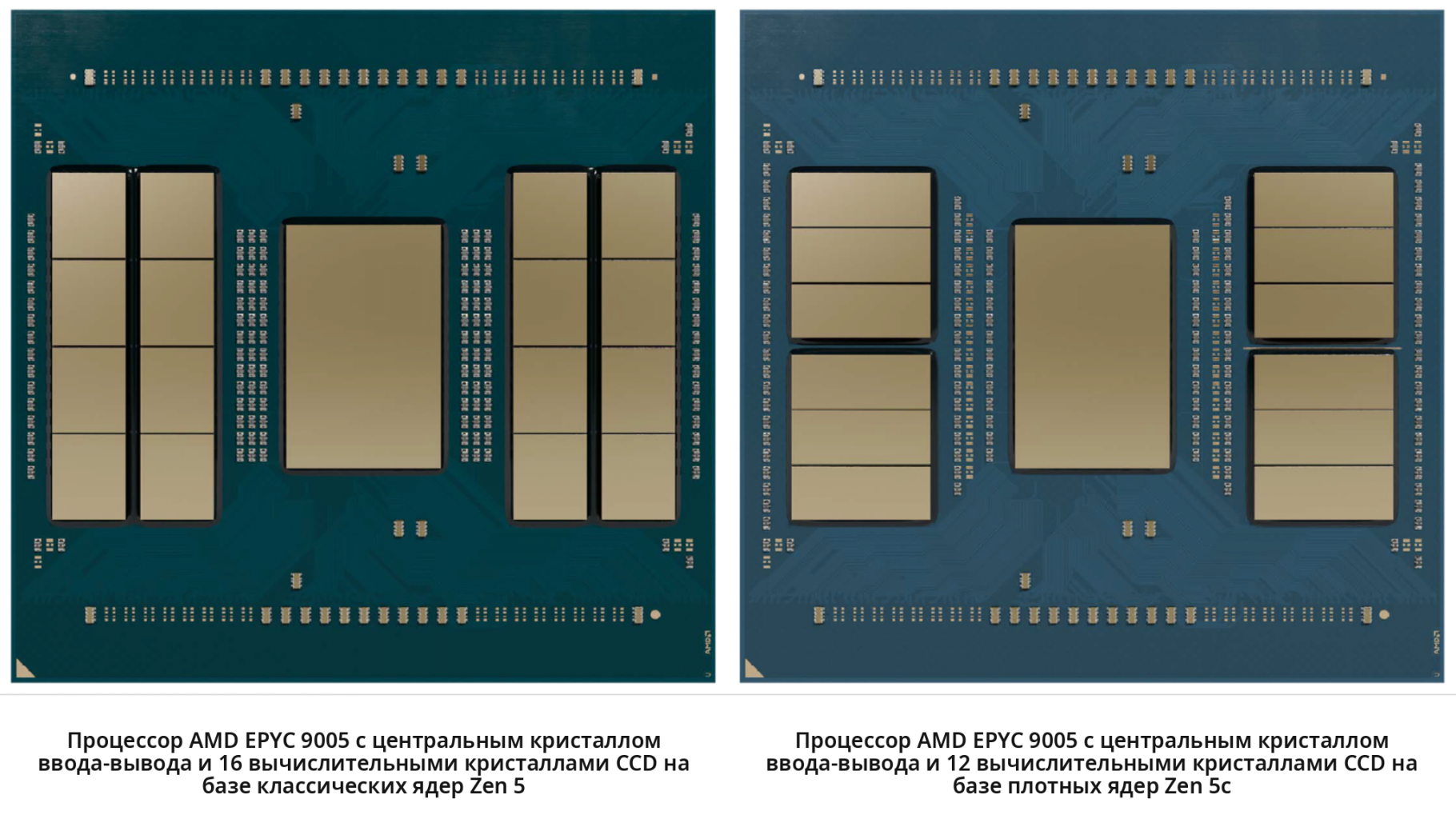 AMD_EPYC_9005.png