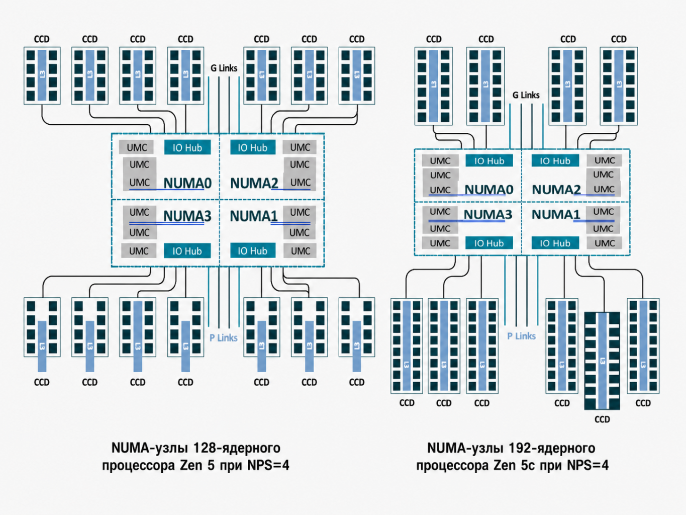 numa-zen5-zen5c.png